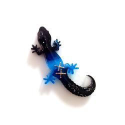 宇宙　カメレオン　トカゲ　ブローチ 2枚目の画像
