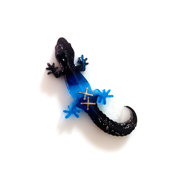宇宙　カメレオン　トカゲ　ブローチ 2枚目の画像