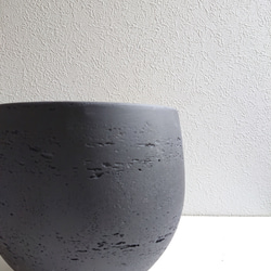 ●数量限定●　丸くてかわいいトピアリー　”ゴールドクレスト ボール（M）鉢カバーセット"　観葉植物　インテリア　ギフト 9枚目の画像