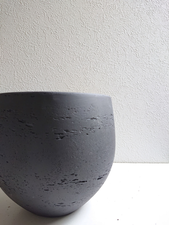 ●数量限定●　丸くてかわいいトピアリー　”ゴールドクレスト ボール（M）鉢カバーセット"　観葉植物　インテリア　ギフト 9枚目の画像