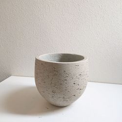 ●数量限定●　丸くてかわいいトピアリー　”ゴールドクレスト ボール（M）鉢カバーセット"　観葉植物　インテリア　ギフト 7枚目の画像