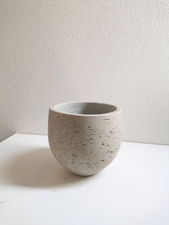 ●数量限定●　丸くてかわいいトピアリー　”ゴールドクレスト ボール（M）鉢カバーセット"　観葉植物　インテリア　ギフト 7枚目の画像