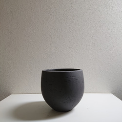 ●数量限定●　丸くてかわいいトピアリー　”ゴールドクレスト ボール（M）鉢カバーセット"　観葉植物　インテリア　ギフト 10枚目の画像