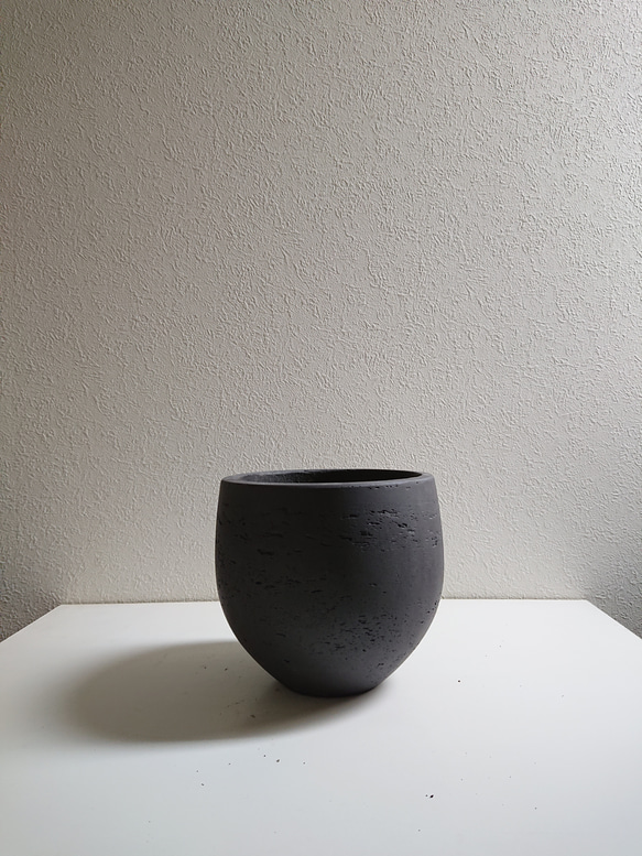 ●数量限定●　丸くてかわいいトピアリー　”ゴールドクレスト ボール（M）鉢カバーセット"　観葉植物　インテリア　ギフト 10枚目の画像