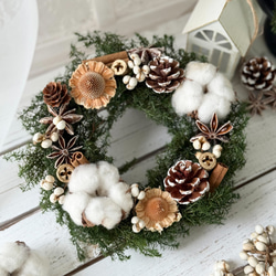 クリスマスリース ナチュラルリース 綿の実 ドライフラワー インテリア