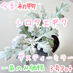 fb9bd43615f2798f47001c5ec1e6fe