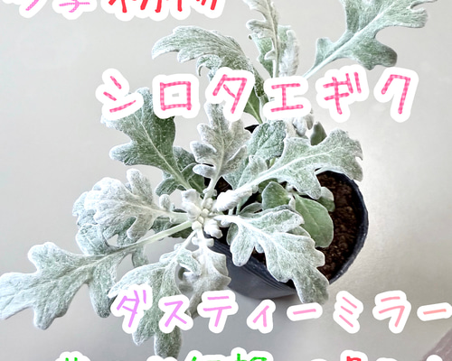 fb9bd43615f2798f47001c5ec1e6fe