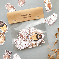 貓頭鷹薄片貼紙 | 貓頭鷹 [32張] 第3張的照片