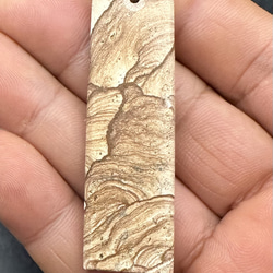 2025.7.23海霊イルカ　沖縄夜行貝 2025.7.23海霊イルカ 沖縄夜行貝 ネックレス・ペンダント ケン