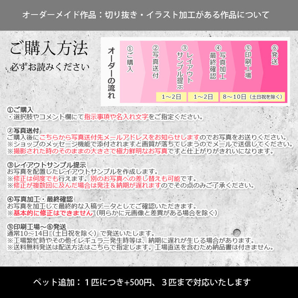 送料無料｜保冷トート★オーダーメイドｰ猫 犬 ペットの写真でオリジナル ショッピングバッグ エコバッグ 保冷バッグ 5枚目の画像