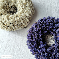 おたふく南天のリース 金子農園 南天の実 ヒカゲノカズラ おたふく南天のリース 金子農園 南天の実 ヒカゲノカズラ