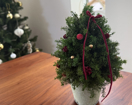 ☆小さくて贅沢な大人のクリスマスツリー.。.:*☆ ヒムロスギのミニクリスマスツリー ..大人クリスマス2025 ナチュラル