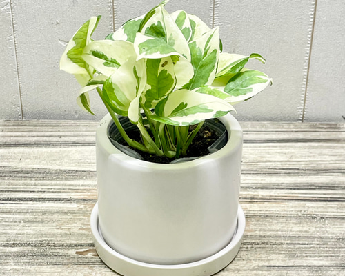 fea63bef5c158c79e1ae7e2ed48db9