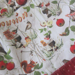 ドイツ生地　訳あり　秋の実り　りんご　小人森の動物たち　りす　梟　カタツムリ　巾着ポーチ　巾着バッグ　マッシュルーム 3枚目の画像