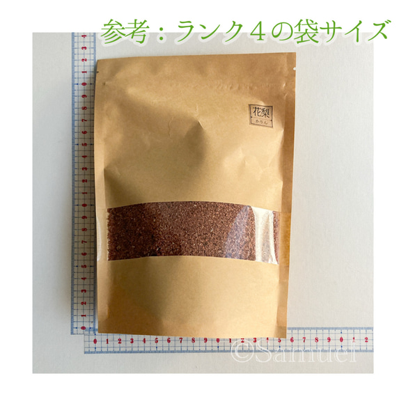 ◍木粉：大鋸屑「香りで愉しむ木の世界／屋久杉」│世界 広葉樹 銘木 おがくず ウッドチップ お香 スモーク 9枚目の画像