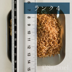 ◍木粉：大鋸屑「香りで愉しむ木の世界／屋久杉」│世界 広葉樹 銘木 おがくず ウッドチップ お香 スモーク 5枚目の画像