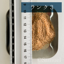 ◍木粉：大鋸屑「香りで愉しむ木の世界／屋久杉」│世界 広葉樹 銘木 おがくず ウッドチップ お香 スモーク 4枚目の画像