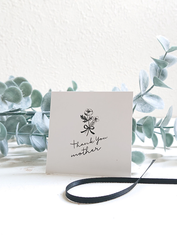 ●空気浄化植物●　希少　大きめ　”サンスベリア・シルバープリンセス　鉢カバーセット（セメント製）”　観葉植物　おしゃれ 9枚目の画像