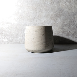 ●空気浄化植物●　希少　大きめ　”サンスベリア・シルバープリンセス　鉢カバーセット（セメント製）”　観葉植物　おしゃれ 7枚目の画像