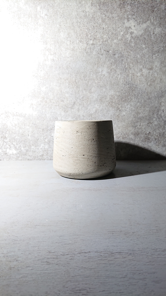 ●空気浄化植物●　希少　大きめ　”サンスベリア・シルバープリンセス　鉢カバーセット（セメント製）”　観葉植物　おしゃれ 7枚目の画像