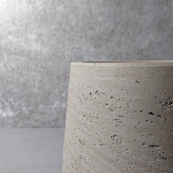 ●空気浄化植物●　希少　大きめ　”サンスベリア・シルバープリンセス　鉢カバーセット（セメント製）”　観葉植物　おしゃれ 8枚目の画像