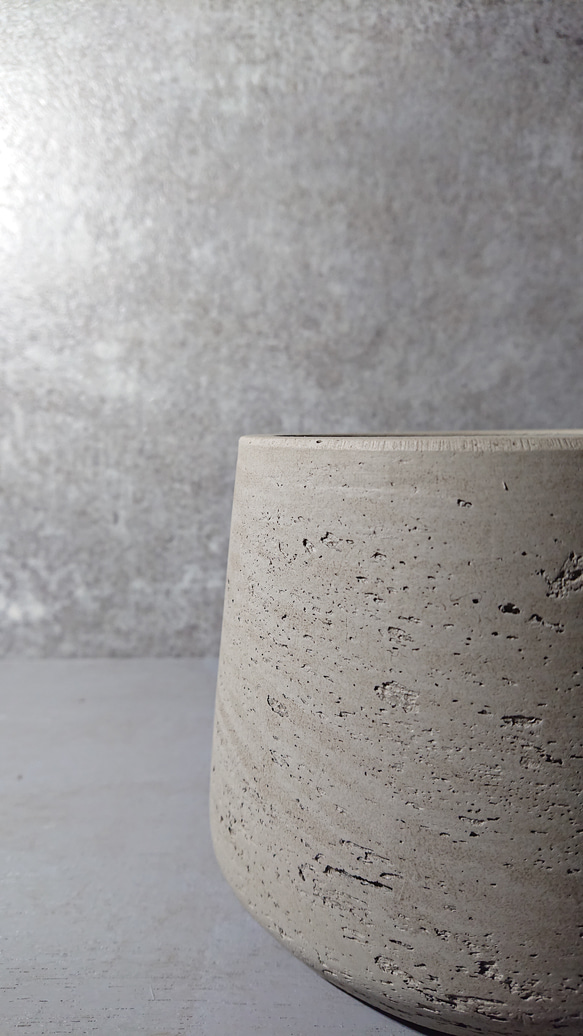 ●空気浄化植物●　希少　大きめ　”サンスベリア・シルバープリンセス　鉢カバーセット（セメント製）”　観葉植物　おしゃれ 8枚目の画像