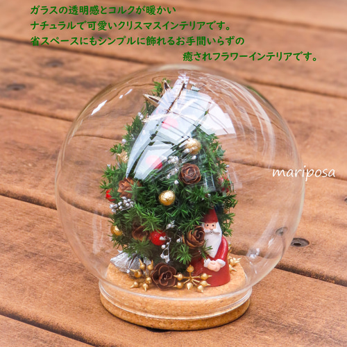 ドームグラスコルクビンの中のクリスマスツリーとサンタの妖精
