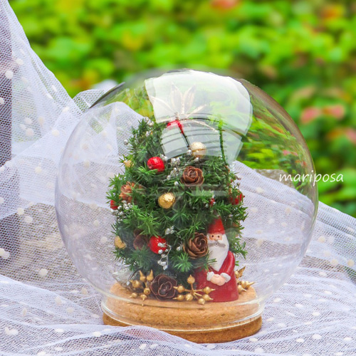ドームグラスコルクビンの中のクリスマスツリーとサンタの妖精