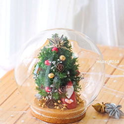 ドームグラスコルクビンの中のクリスマスツリーとサンタの妖精