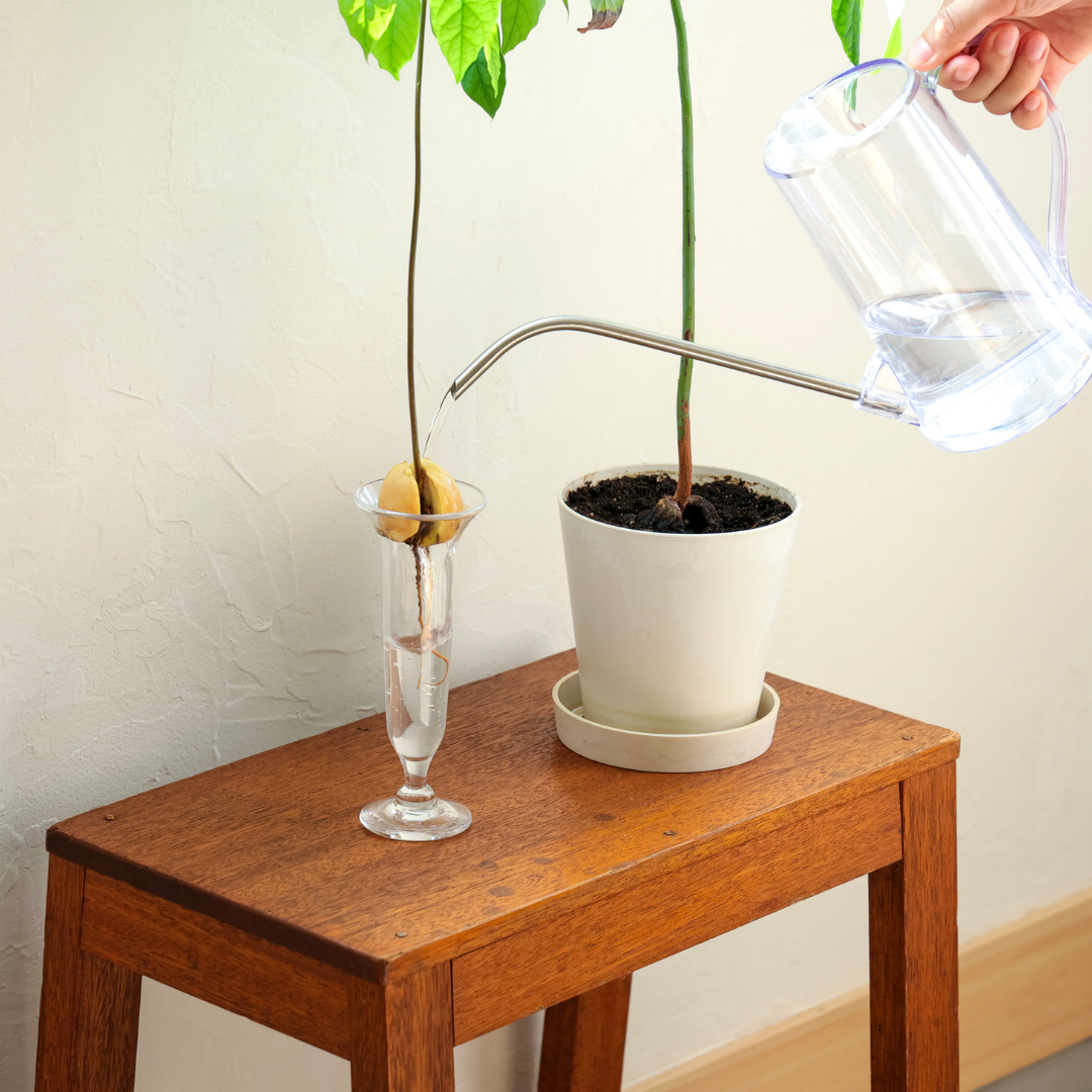 AVOCADO Vase