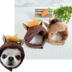 おこりんぼうのハリネズミケージ R904545 おこりんぼうのハリネズミケージ R904545 - A.C.E craft