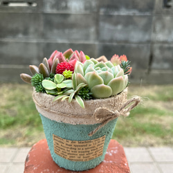 ☆送料無料☆♡そのまま飾れる♡リメイク缶バッグ型♬多肉植物寄せ植え
