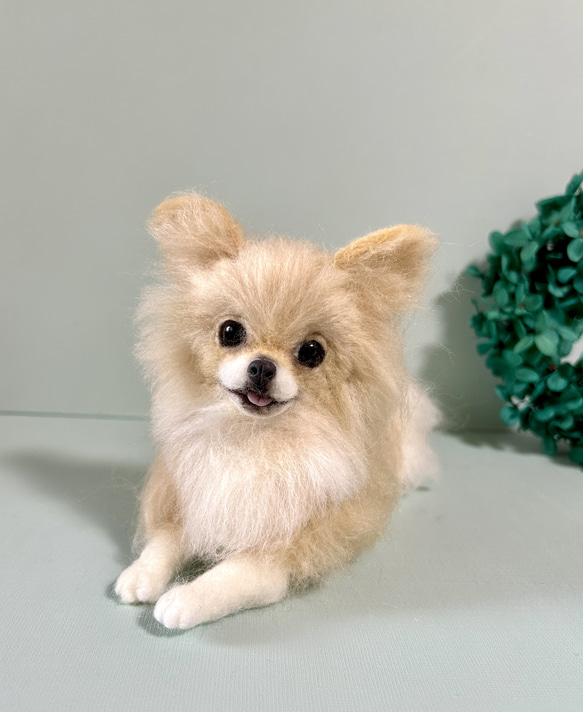 羊毛フェルト にこにこチワワちゃん 送料無料 羊毛フェルト にこにこ