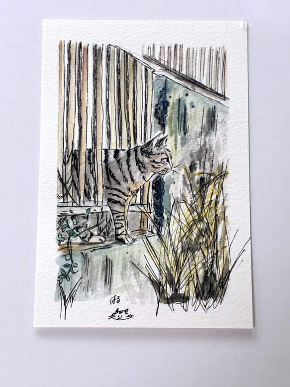 動物水彩画 原画 ポストカード 絵葉書 猫 絵画 Atelier_Haruna 通販