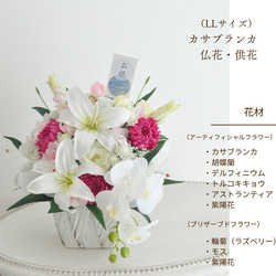 ラズベリー色LLサイズ【仏花、供花】カサブランカ、胡蝶蘭、紫輪菊の上質な仏花・お悔み、四十九日、初盆 4枚目の画像