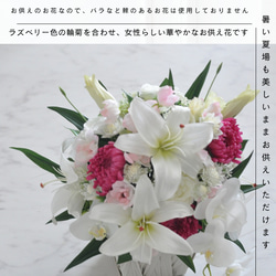 ラズベリー色LLサイズ【仏花、供花】カサブランカ、胡蝶蘭、紫輪菊の上質な仏花・お悔み、四十九日、初盆 2枚目の画像