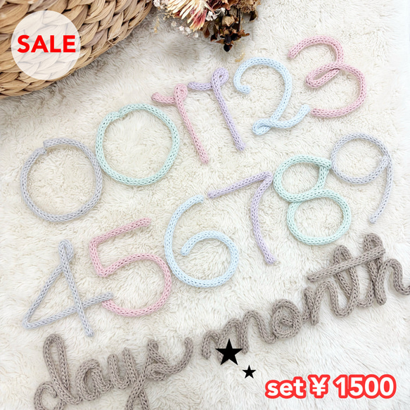 セット販売　月齢フォト　マンスリーフォト　誕生日　100days ウールレター 1枚目の画像