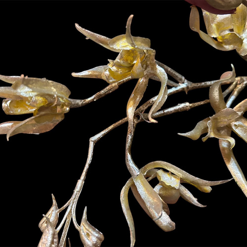 光触媒 人工観葉植物 ウォールグリーン フェイクグリーン 正月アレンジ