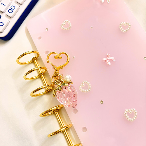 A6 レジン貯金バインダー｜積立貯金・セービングチャレンジ・家計管理