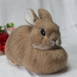 羊毛フェルト オーダー 「リアルで可愛いウサギちゃん」うちの子  ぬいぐるみ 羊毛フェルト オーダー 「リアルで可愛いウサギちゃん」うちの子