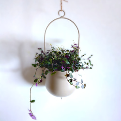 ●数量限定●　”ブライダルベール　軽量ハンギング鉢カバーセット（グレージュ・マットホワイト）"観葉植物　吊り下げ　ヘデラ 4枚目の画像