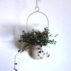 ●数量限定●　”ブライダルベール　軽量ハンギング鉢カバーセット（グレージュ・マットホワイト）"観葉植物　吊り下げ　ヘデラ 3枚目の画像