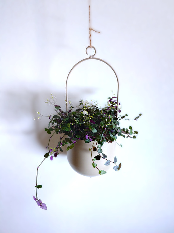 ●数量限定●　”ブライダルベール　軽量ハンギング鉢カバーセット（グレージュ・マットホワイト）"観葉植物　吊り下げ　ヘデラ 3枚目の画像