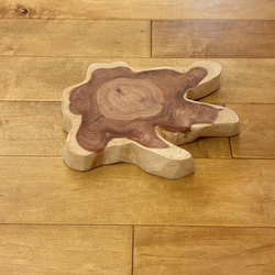 カイヅカイブキ　No.1436 2枚目の画像