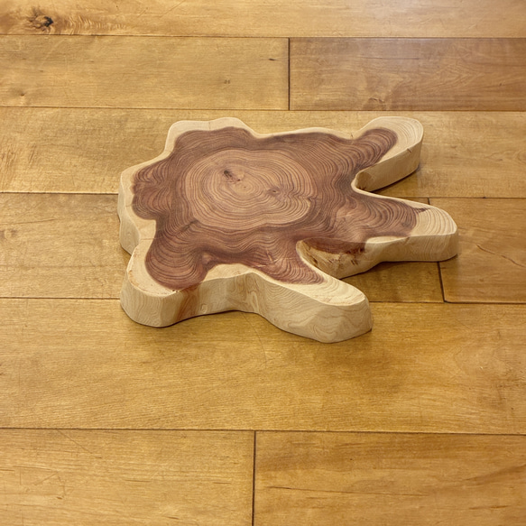 カイヅカイブキ　No.1436 2枚目の画像