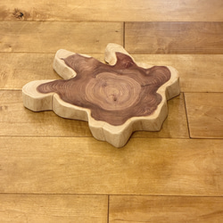 カイヅカイブキ　No.1436 1枚目の画像