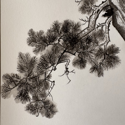 静中の動 鷹 岩 山 松 絵画 水墨画 掛け軸 絵画 こたつ 通販 19941505