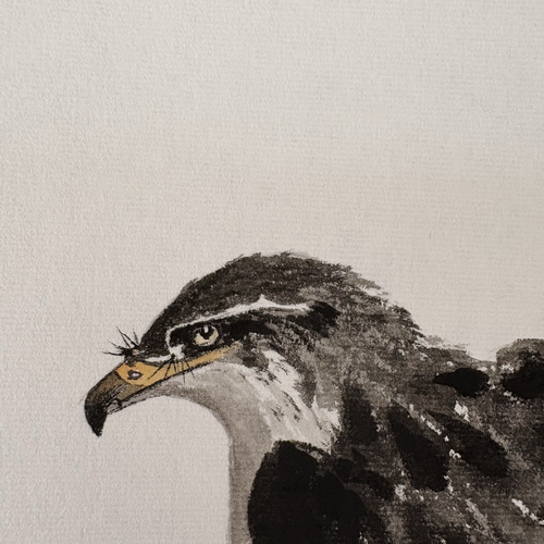 水墨画 鷹　肉筆画　掛け軸用　手描き 鷹 水墨画 絵画 掛け軸 絵画 こたつ 通販 18043703｜Creema(クリーマ