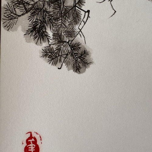 松の水墨画 掛軸 住吉弘貫】松の水墨画 掛軸 共箱 - メルカリ