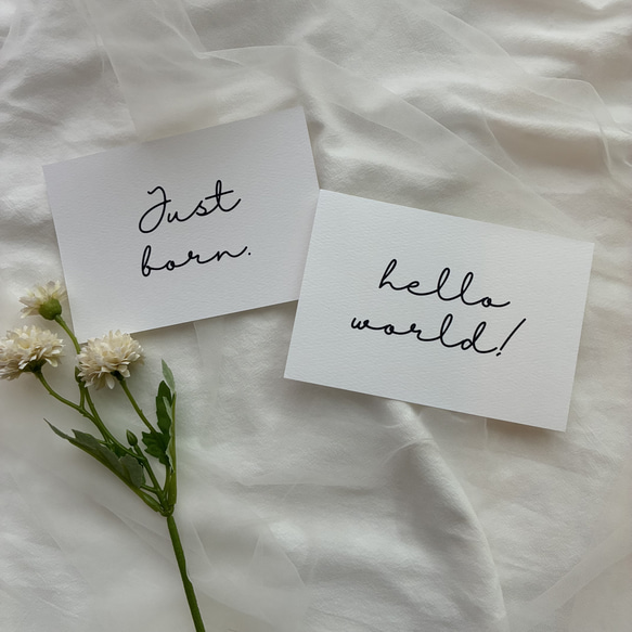 ˗ˋˏ マタニティフォトに ˎˊ˗ 撮影用カード 8枚set 8枚目の画像